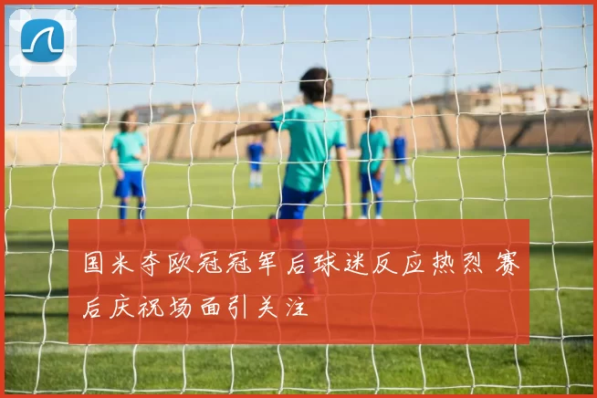 国米夺欧冠冠军后球迷反应热烈 赛后庆祝场面引关注